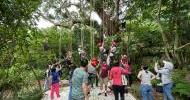 LINE_ALBUM_20230429攀樹營_230504_15