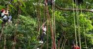 LINE_ALBUM_20230429攀樹營_230504_6