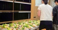 LINE_ALBUM_20260329逾越節_260615_4